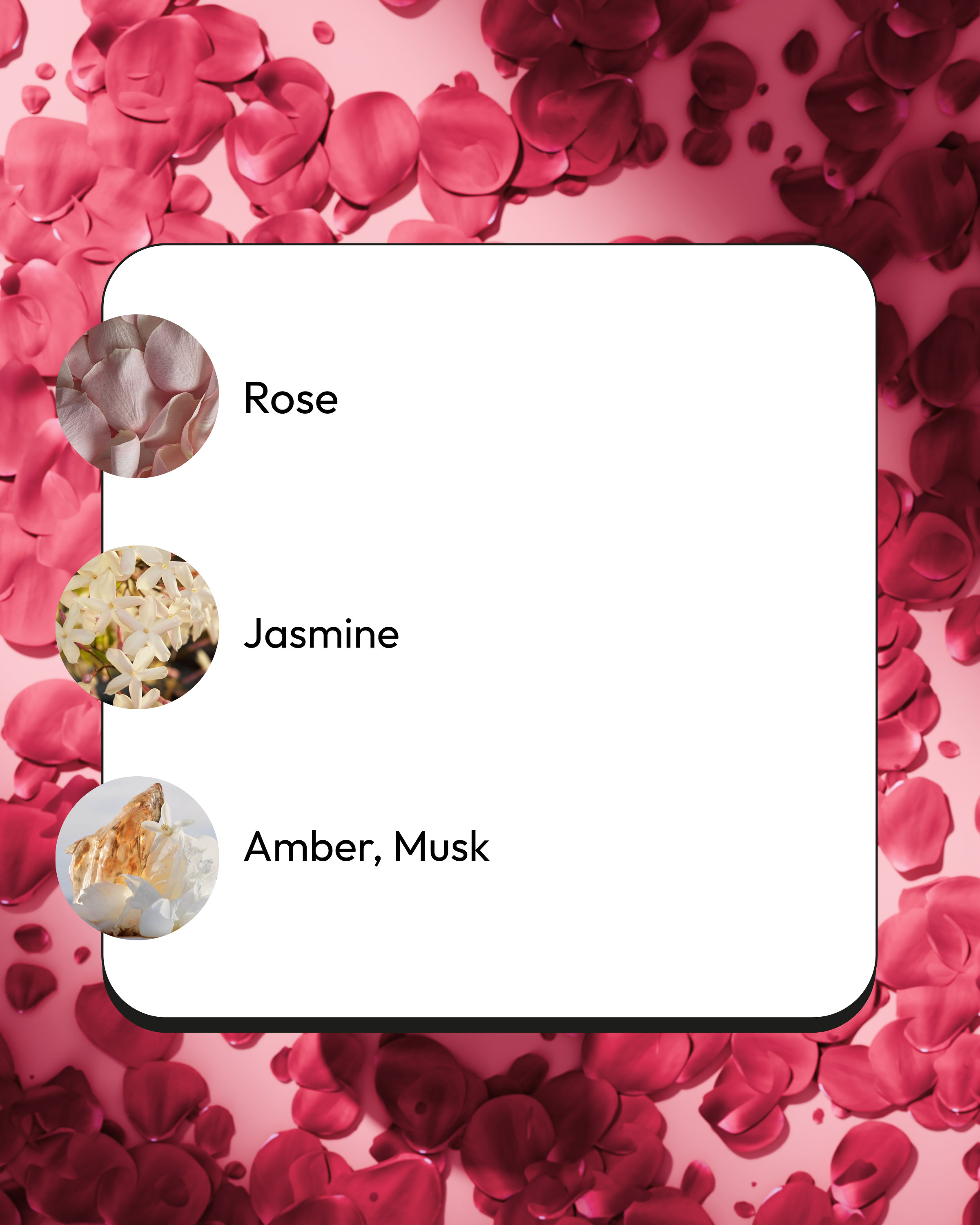 Rose Musk Discovery Set 100ml