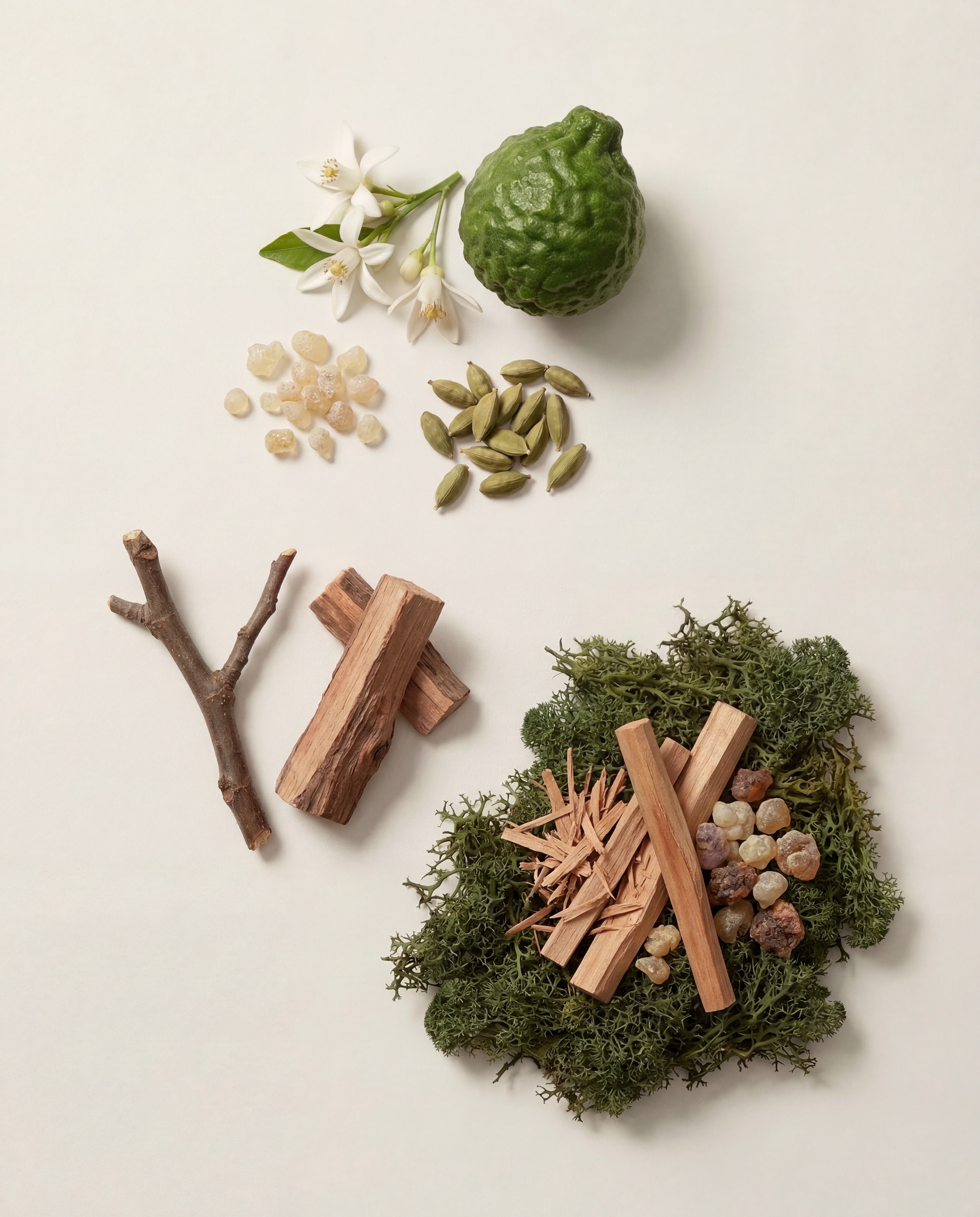 Santal Bundle Wash + Scent Booster Softener 🔒